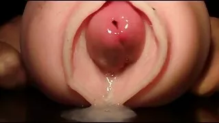 படகோட்டி நல்ல குஞ்சு அமலா பால் xnxx தனது புண்டையுடன் விளையாடுகிறது