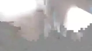 குஞ்சு நிர்வாணமாக பறிக்கப்பட்டு தமிழ் நடிகர் செக்ஸ் வீடியோ உடலுறவுக்கு முன் சுயஇன்பம் செய்தது